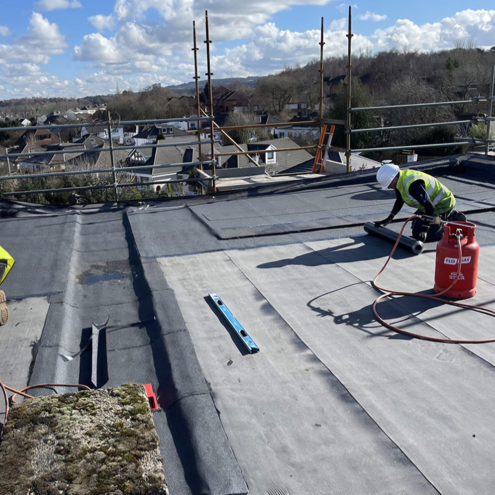offices & apartments renovation in Bronx, NY